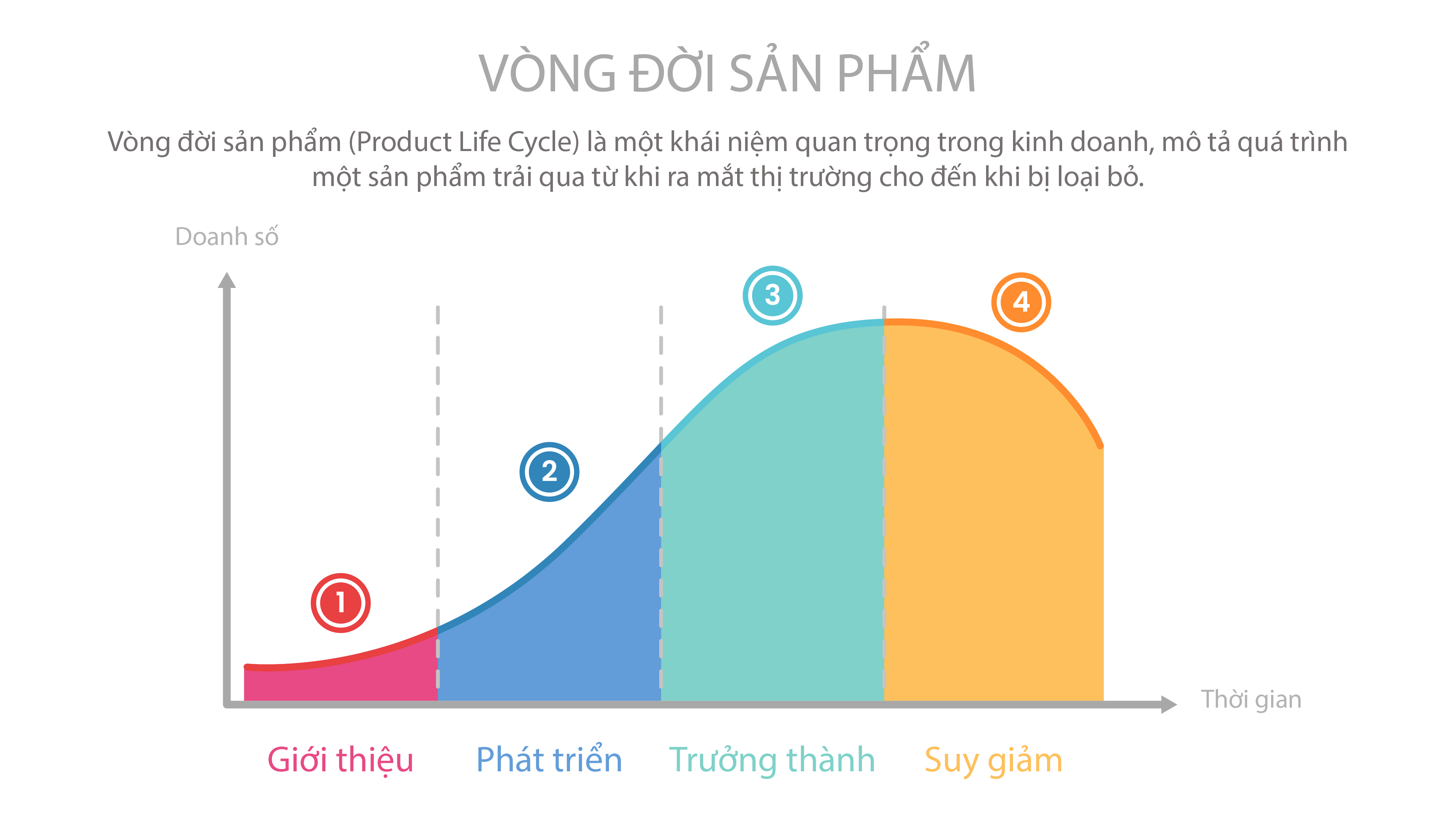 Vòng đời sản phẩm